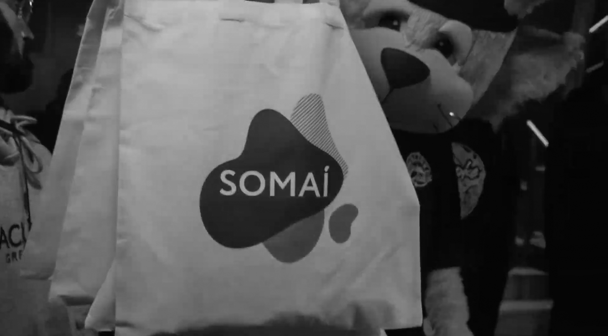 Somai Pharmaceuticals Event Aftermovie